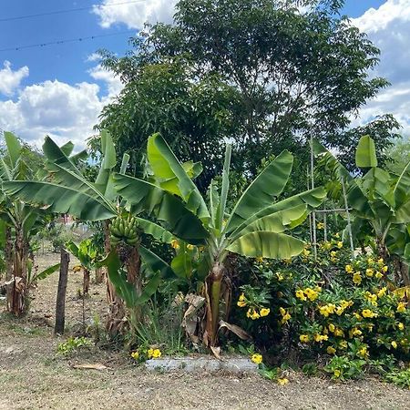 Casa Vacacional Buganvillas Malacatos Luaran gambar