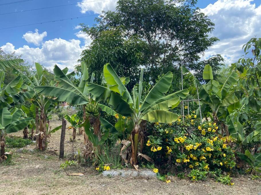 Casa Vacacional Buganvillas Malacatos Luaran gambar